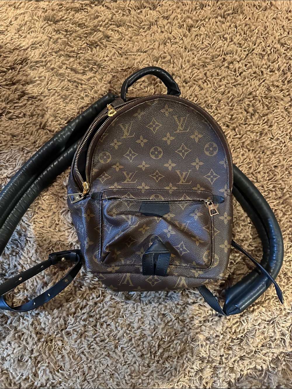Louis Vuitton Monogram Mini Backpack in Brown and Black